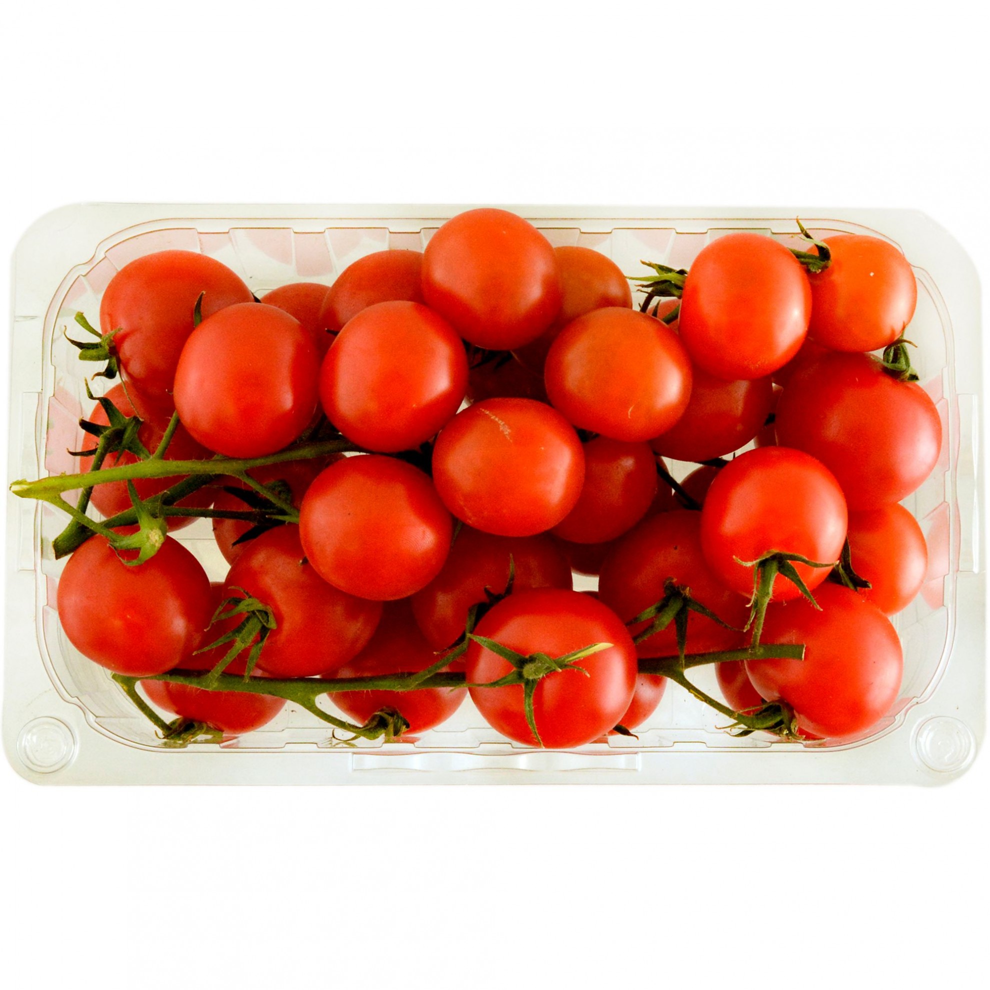 ROSII CHERRY CAL.I 500GR