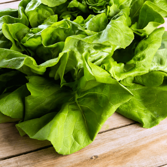 SALATA VERDE CAL.I 1BUC