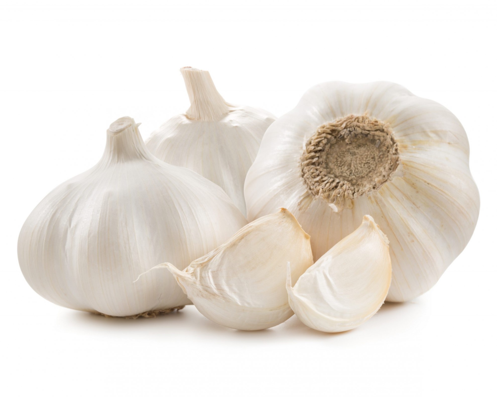 USTUROI CAL.I 1KG