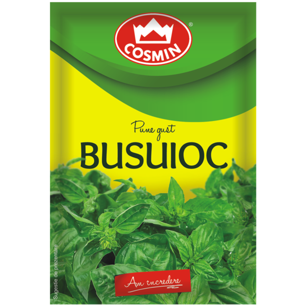 COSMIN BUSUIOC 8GR