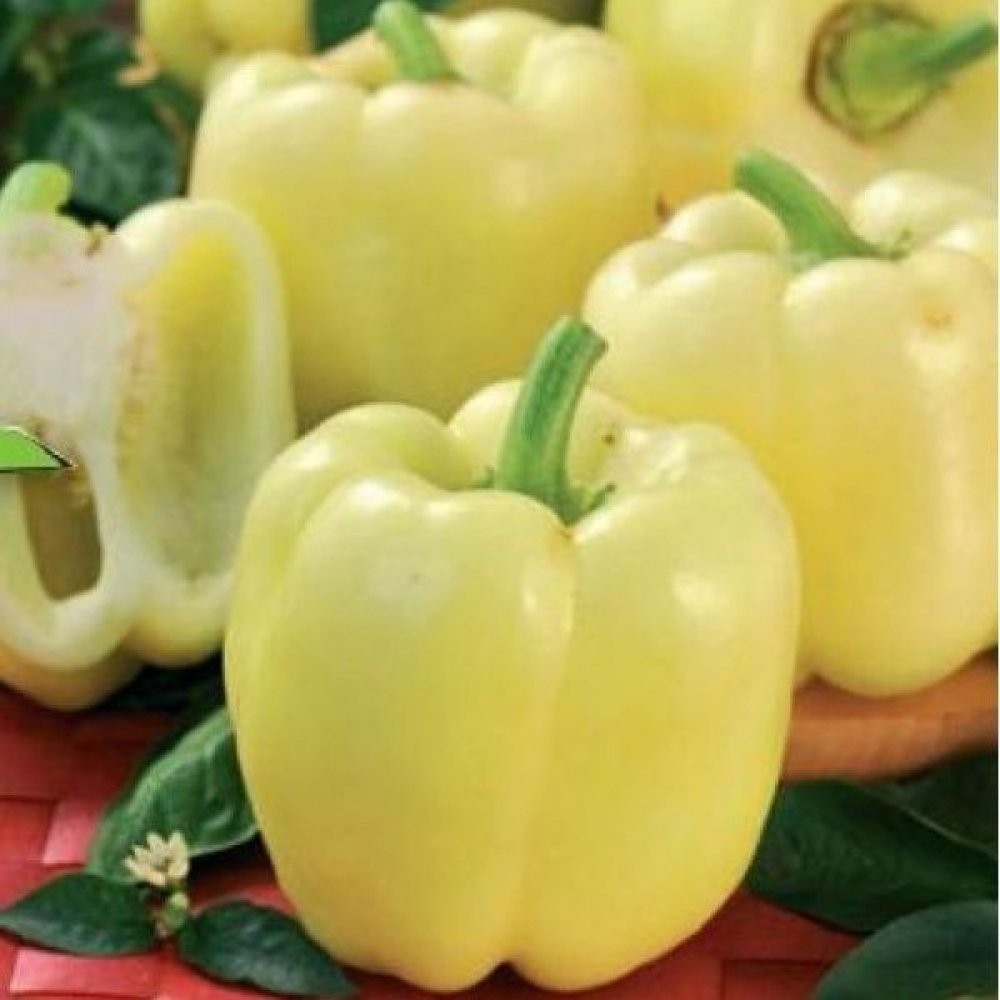 ARDEI GALBEN BIANCA CAL.I 1KG