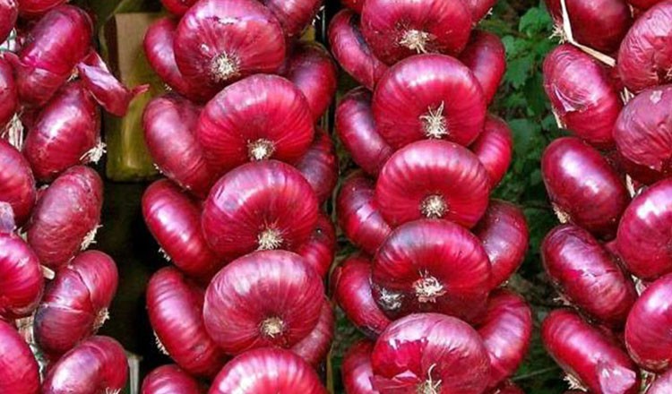 CEAPA ROSIE CAL.I 1KG