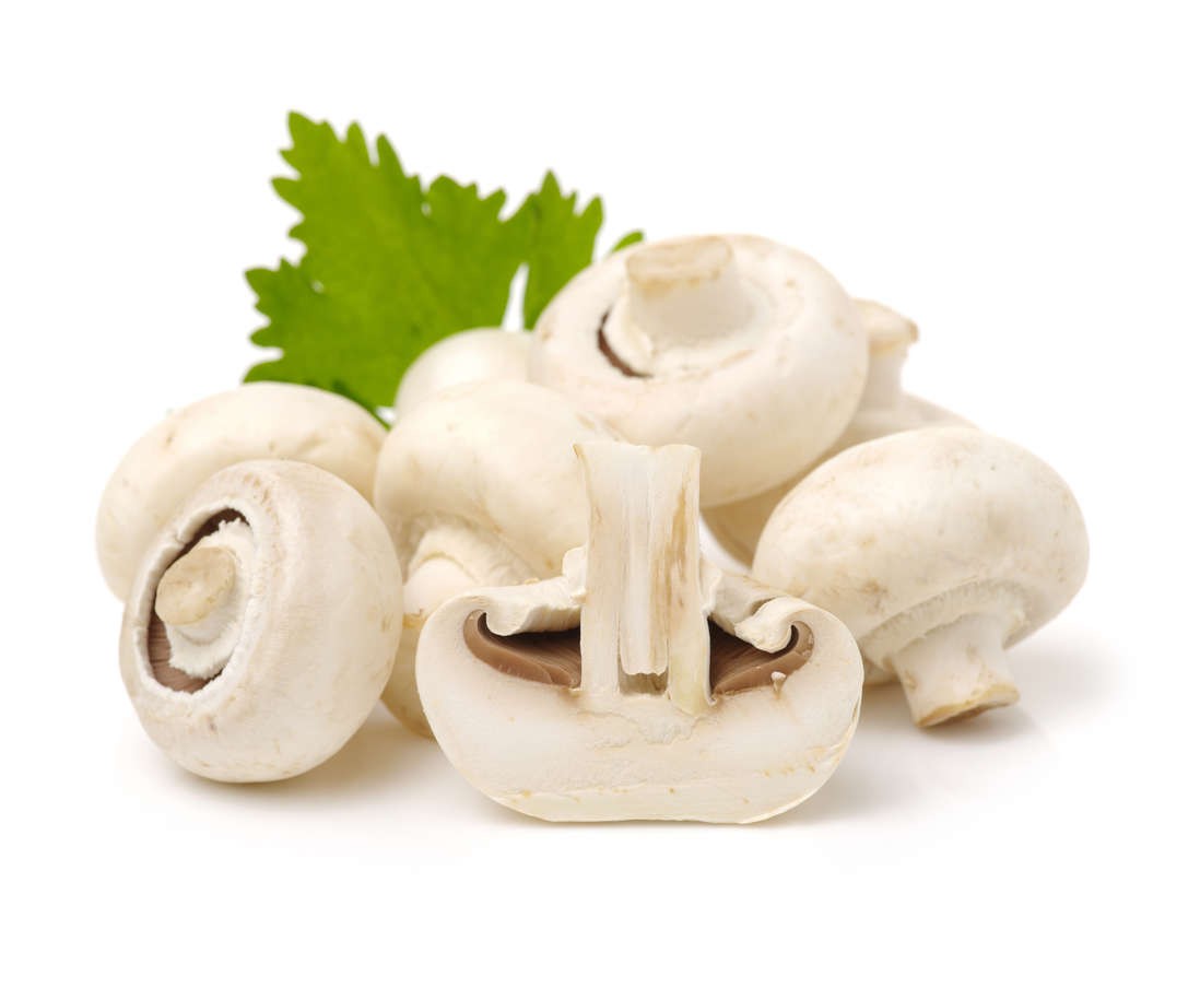 CIUPERCI CAL.I 1KG