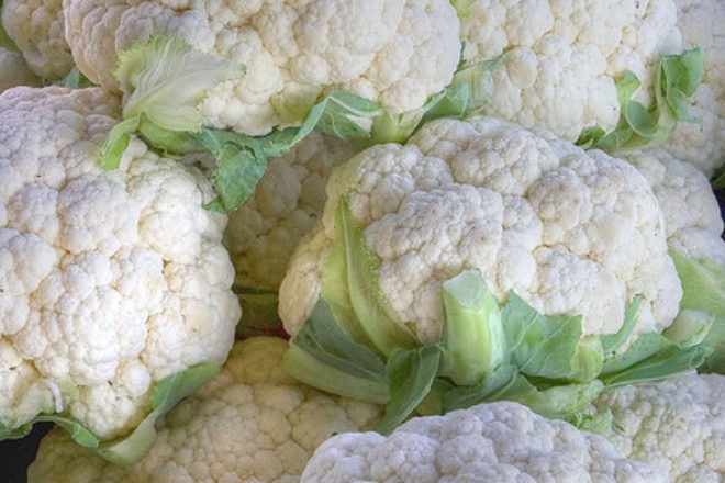 CONOPIDA CAL.I 1KG