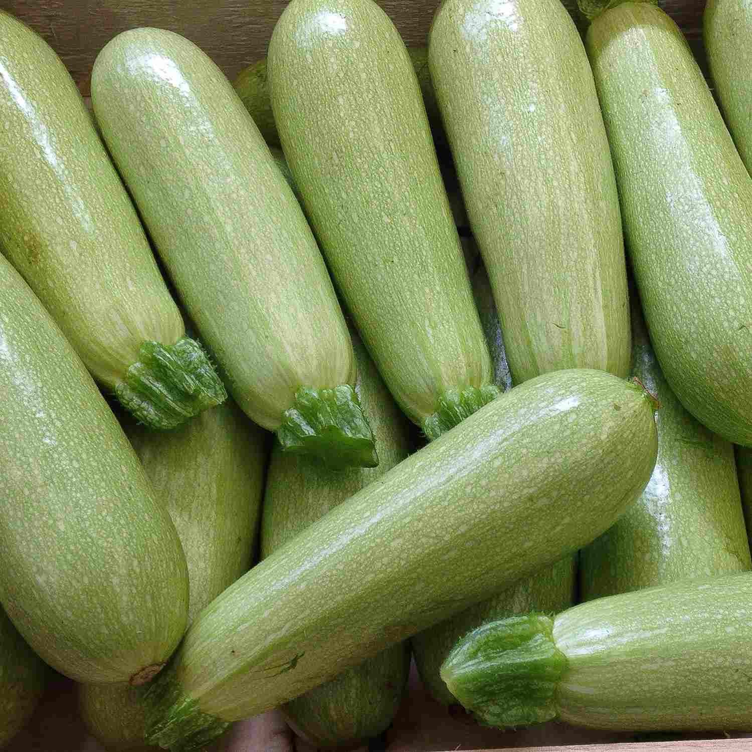 DOVLECEI CAL.I 1KG