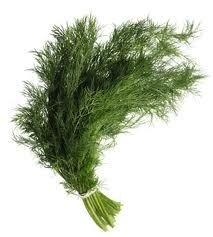 MARAR VERDE LEGATURA