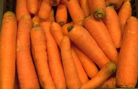 MORCOVI CAL.I 1KG