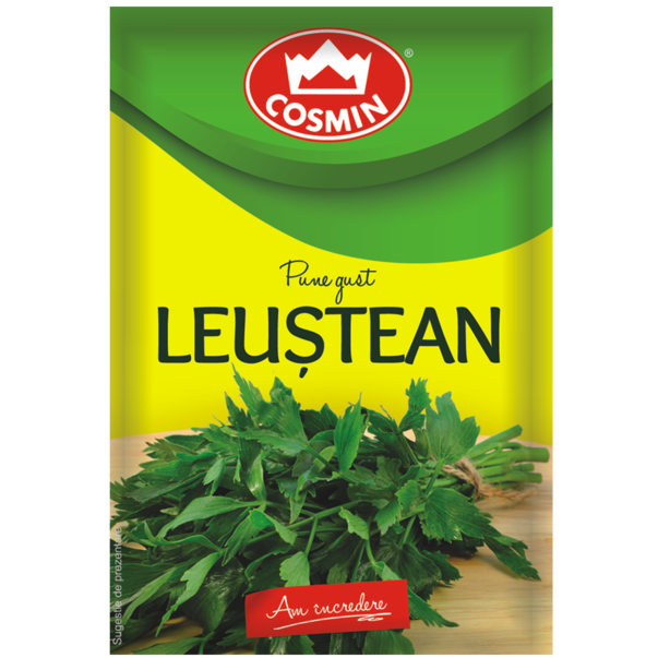 COSMIN LEUSTEAN 6GR