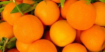 PORTOCALE CAL.I 1KG